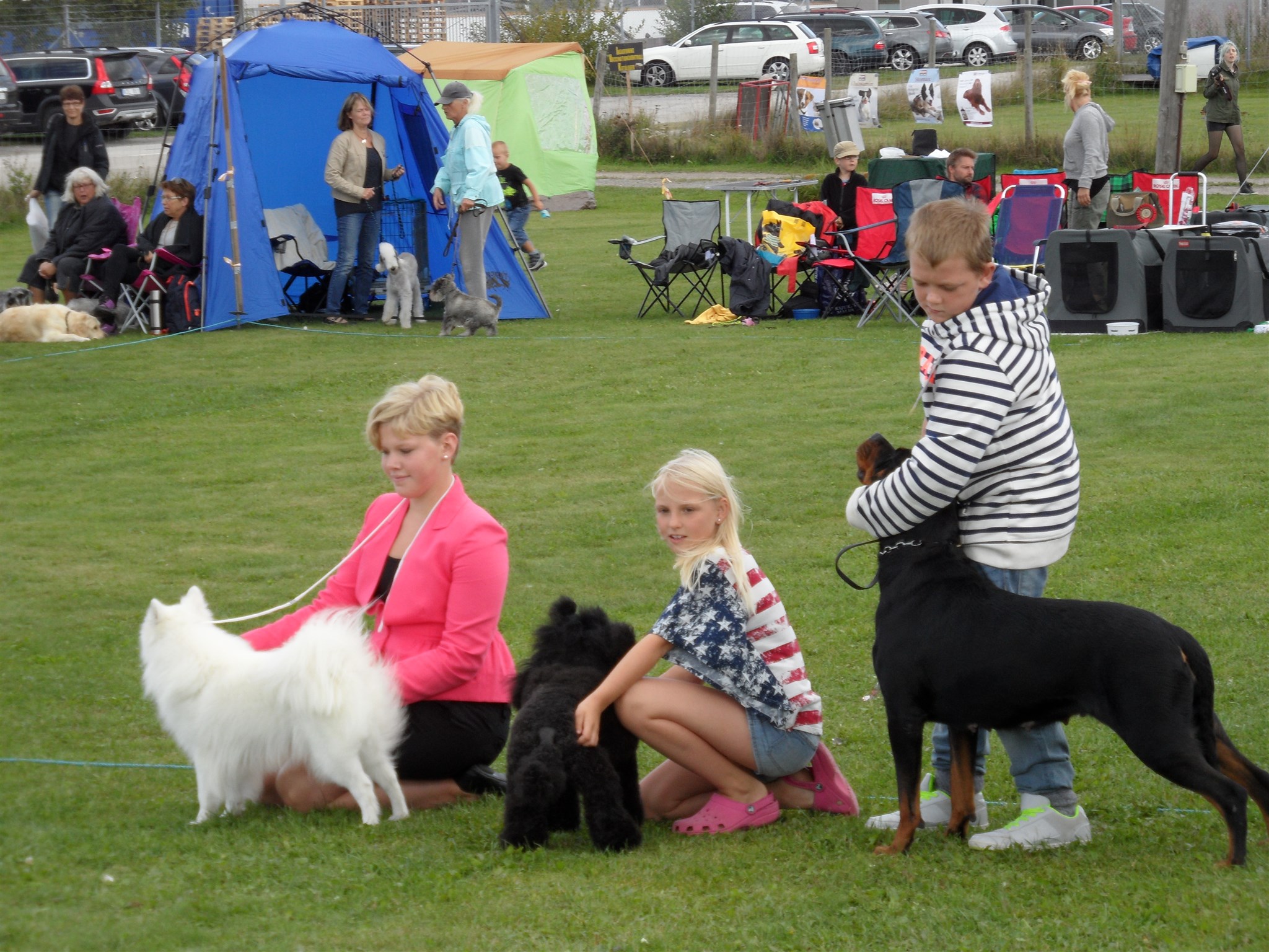 Utställning Skurups Brukshundklubb